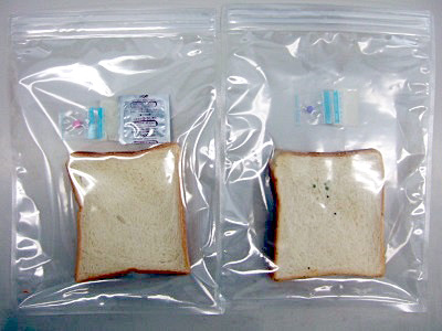 左がエージレス使用、右が不使用の食パン